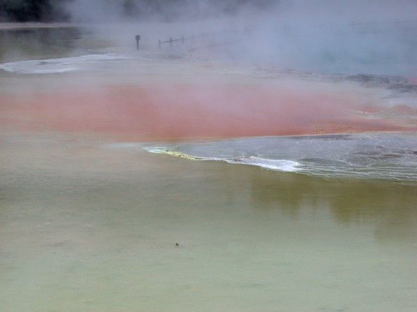 The Champagne Pool